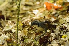 NEW_0725_webshot.jpg