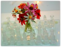 Chess Set and Zinnia Bouquet.jpg