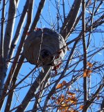 DSCN0918.jpg