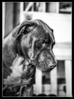 073-Edit-Edit.jpg