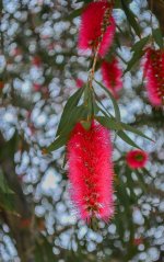 DSC_4904.jpg