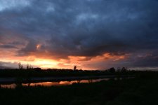 DSC_5460.jpg