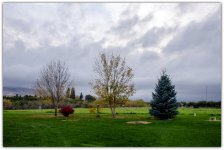 DSC_6677.jpg