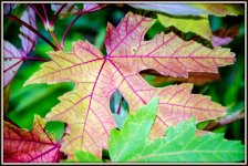 DSC_6673.jpg
