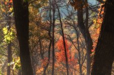 Ocoee--3.jpg