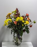 DSC_1365.jpg