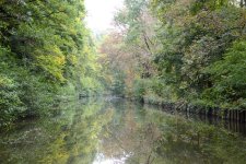 Canal des Vosges 1.jpg