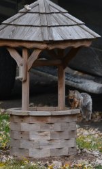 DSC_2939.jpg