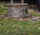 DSC_2943.jpg