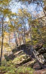 clyffe-pano2.jpg