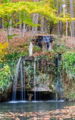 DSC_1293.jpg