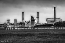 Fonterra Milk Factory.jpg