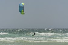 NEW_0958_webshot.jpg