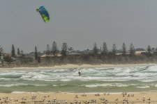 NEW_0963_webshot.jpg