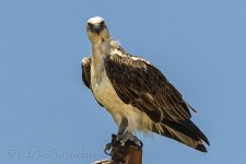 NEW_1010_webshot.jpg