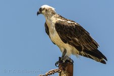 NEW_1012_webshot.jpg