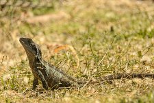NEW_1017_webshot.jpg
