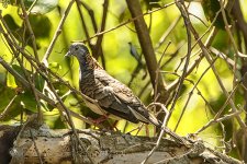 NEW_1029_webshot.jpg