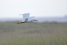 DSC_9689.jpg