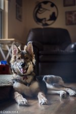 Smiling (1 of 1).jpg