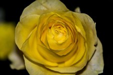 DSC_1373.jpg