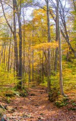 DSC_1242.jpg
