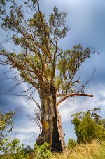 NEW_1041_HDR_webshot.jpg