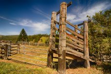 NEW_1088_HDR_webshot.jpg