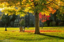 20141025-D75_0147-Edit.jpg