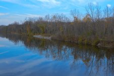DSC_0313.jpg