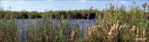 Loxahatchee River of Grass.jpg