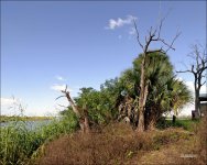 Loxahatchee 10-28-14    12.jpg