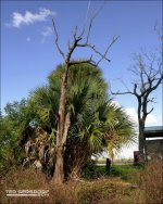 Loxahatchee 10-28-14    13.jpg