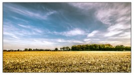 045-2-Edit.jpg