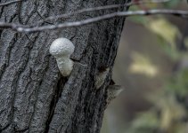 _6009970.jpg