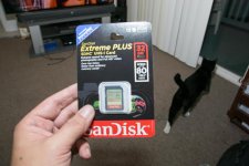 memorycard (1 of 1).jpg