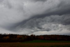 DSC_0320.jpg