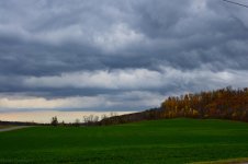 DSC_0322.jpg