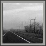 Grey morning.jpg