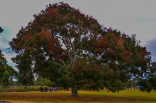 DSC_0461.jpg