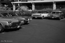 Classic Cars Monochrome.jpg
