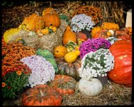 Pumpkin2.jpg