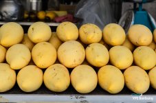 mangos-1.jpg