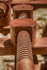 NEW_1209_webshot.jpg