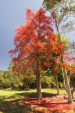 NEW_1230_webshot.jpg