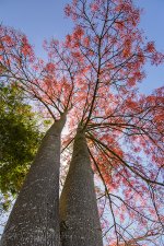 NEW_1236_webshot.jpg