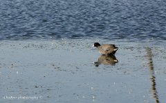 DSC_1350.jpg