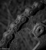 old chain (1 of 1).jpg
