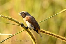 NEW_1312_webshot.jpg