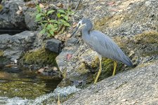 NEW_1280_webshot.jpg